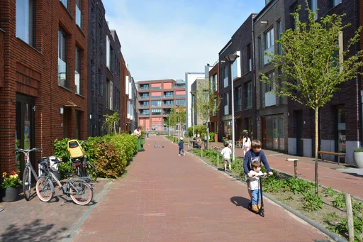 pro.11.dsc_0530.webp
